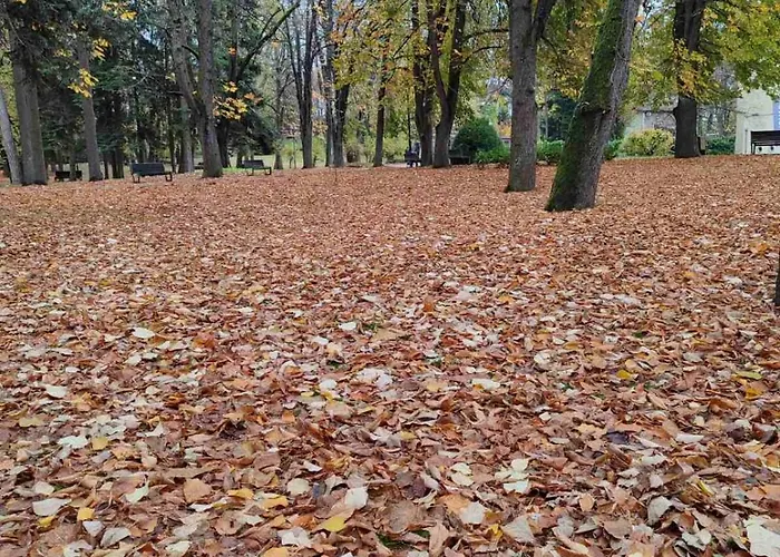 Appartement Tiha Noc Ii Vrnjačka Banja